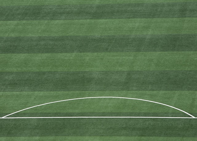 团队文化 团队文化