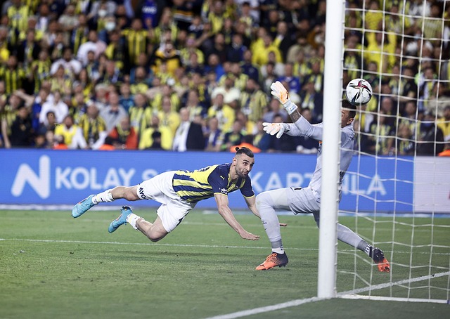 还是其他新 还是其他新