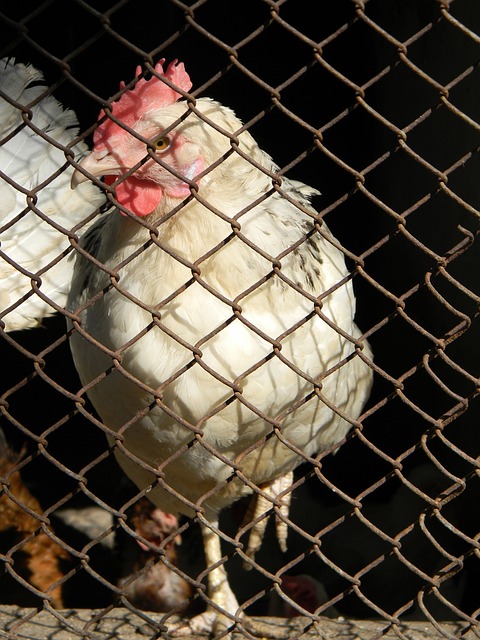 了解这些常 了解这些常