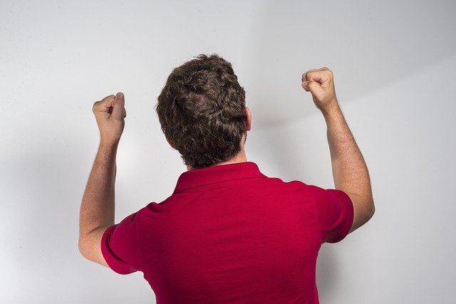 无疑将成为 无疑将成为