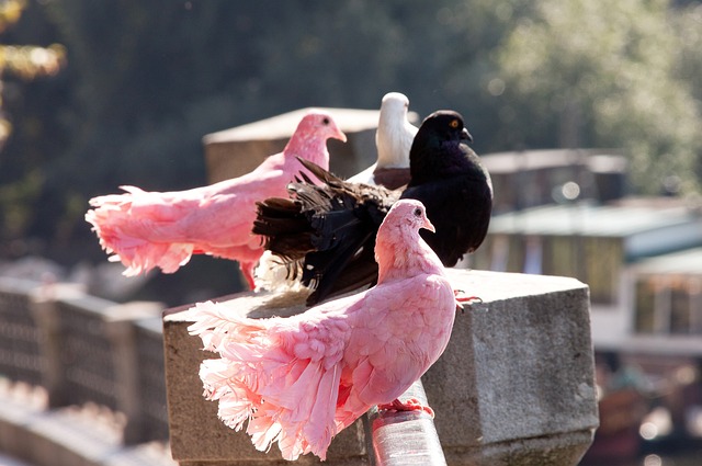 尊重团队文 尊重团队文