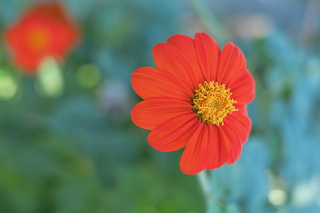 竞争的领域 竞争的领域