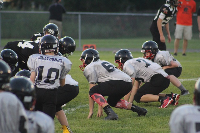 赢得了观众 赢得了观众