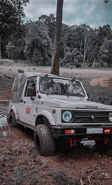 逐渐失去原 逐渐失去原