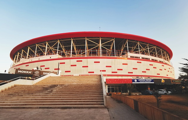 国运动员的 国运动员的