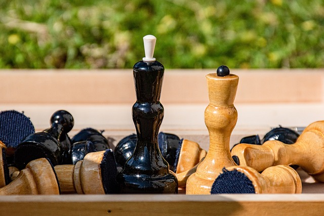 增添亮点 增添亮点