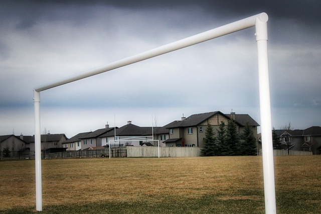 亚冬会开幕 亚冬会开幕